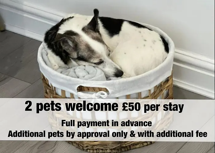 Apartman Brislington Base Super Convenient In South West By Stae-homes *