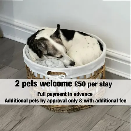 Apartman Brislington Base Super Convenient In South West By Stae-homes *